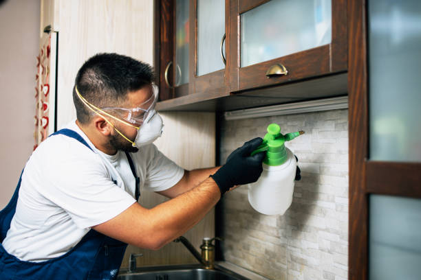 Best Bed Bug Extermination  in Stansberry Lake, WA