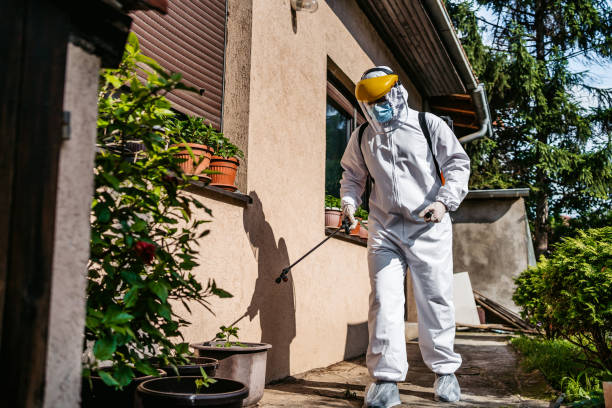 Best Exterminator Services  in Stansberry Lake, WA