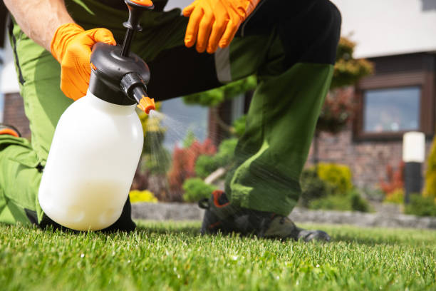 Best Pest Control Near Me  in Stansberry Lake, WA