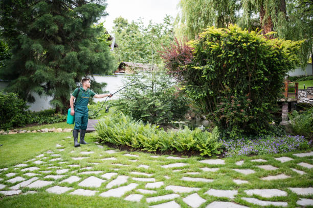 Best Emergency Pest Control  in Stansberry Lake, WA