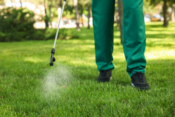 Best Pest Removal Services  in Stansberry Lake, WA