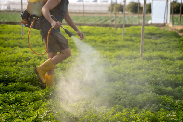 Trusted Stansberry Lake, WA Pest Control Experts