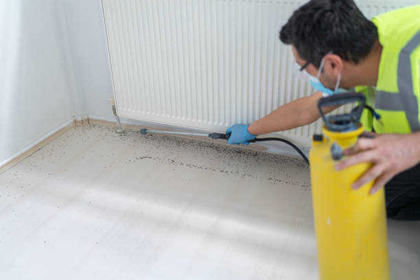Best Best Pest Control Companies  in Stansberry Lake, WA