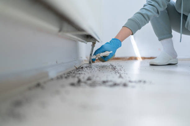  Stansberry Lake, WA Pest Control Pros